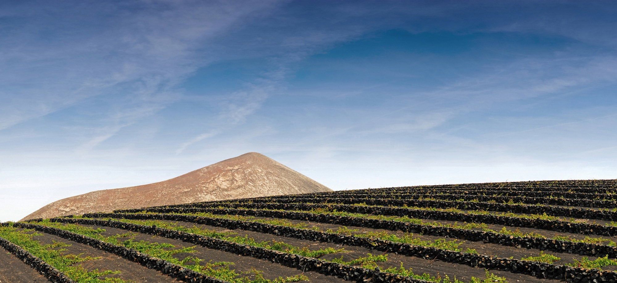 La Geria, Lanzarote