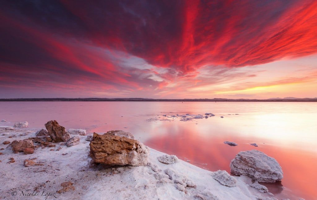 Laguna Rosa de Torrevieja, Alicante